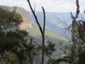 Blue Mountains_089