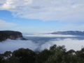 Blue Mountains_127