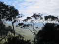 Blue Mountains_175