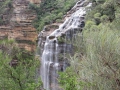 Blue Mountains_197