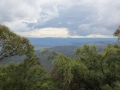 Blue Mountains_241