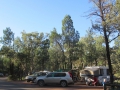 Flinders Ranges_0384