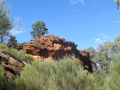 Flinders Ranges_0071