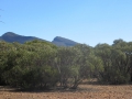 Flinders Ranges_0107