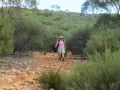 Flinders Ranges_0180