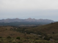 Flinders Ranges_0243