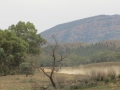 Flinders Ranges_0256