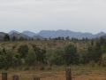 Flinders Ranges_0282