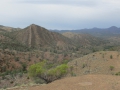 Flinders Ranges_0338