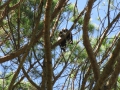 Rottnest Island_0150