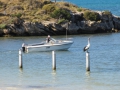 Rottnest Island_0256