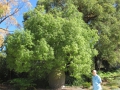 Rottnest Island_0084