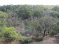 Rottnest Island_0107