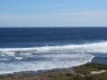 Rottnest Island_0388