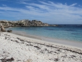 Rottnest Island_0499