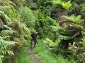 Stewart Island_037