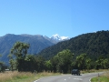 Fox Glacier_049