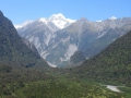 Fox Glacier_051