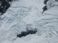 Fox Glacier_058