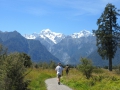 Fox Glacier_089