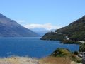 Fox Glacier_003