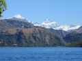 Fox Glacier_012