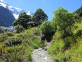 Fox Glacier_026