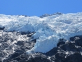 Fox Glacier_029