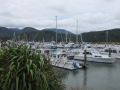 Picton_041