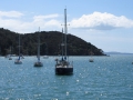 Paihia_033