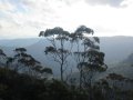 Blue-Mountains-19