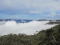 Blue Mountains_135