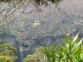 Blue Mountains_226