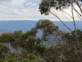 Blue Mountains_246