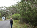 Great Ocean Road_0059