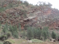 Flinders Ranges_0295