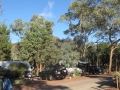 Flinders Ranges_0388