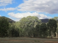Flinders Ranges_0197
