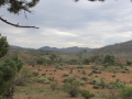 Flinders Ranges_0284