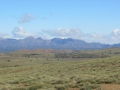 Flinders Ranges_0414