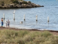 Rottnest Island_0513