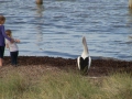 Rottnest Island_0514e