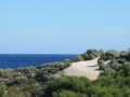 Rottnest Island_0376