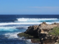 Rottnest Island_0396