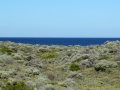 Rottnest Island_0470