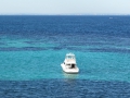 Rottnest Island_0502