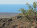 Broome_0212