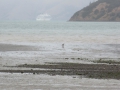 Akaroa_033