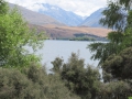 Lake Tekapo_031