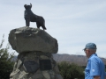 Lake Tekapo_034